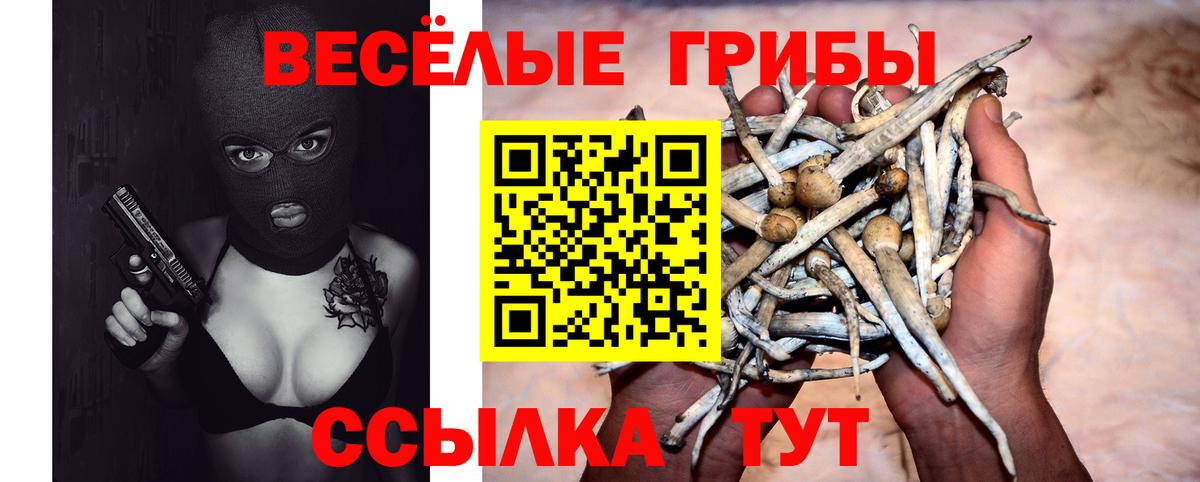 Галлюциногенные грибы Psilocybe Сарапул