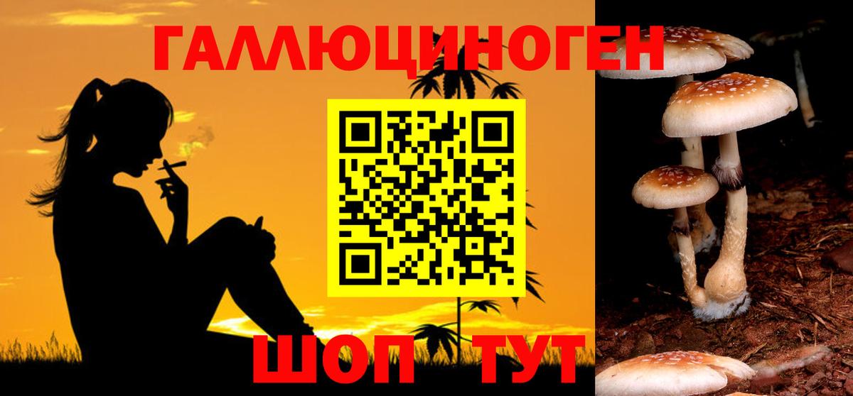 Сарапул  Псилоцибиновые грибы Psilocybine cubensis  Вход с VPN 